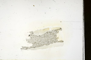 Plane Polarized, S90095
