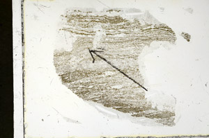 Plane Polarized, S90103