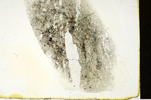 Plane Polarized, S90106