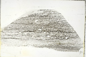 Plane Polarized, S90114