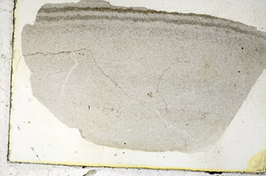 Plane Polarized, S90117