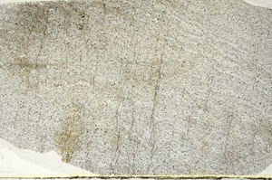 Plane Polarized, S90131