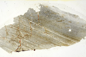 Plane Polarized, S90133