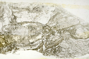 Plane Polarized, S90138