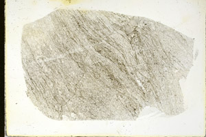 Plane Polarized, S90140