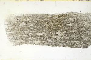Plane Polarized, S90144