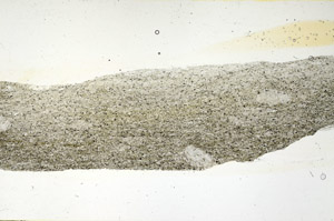 Plane Polarized, S90147