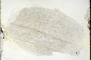 Plane Polarized, S90153