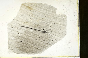 Plane Polarized, S90160