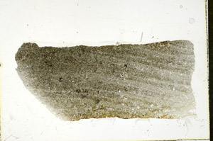 Plane Polarized, S90164