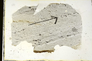 Plane Polarized, S90165