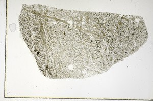Plane Polarized, S90193