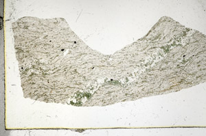 Plane Polarized, S90204