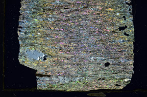 Cross Polarized, S90214