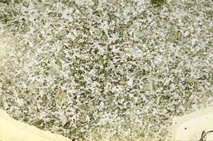 Plane Polarized, S90221