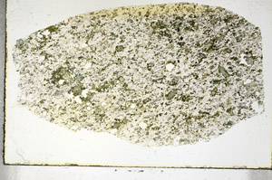 Plane Polarized, S90223