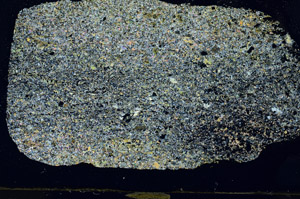 Cross Polarized, S90225