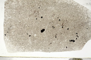 Plane Polarized, S90227