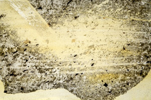 Plane Polarized, S90241