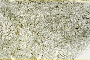 Plane Polarized, S90252