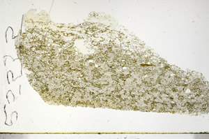 Plane Polarized, S90260