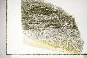 Plane Polarized, S90264