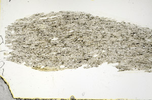 Plane Polarized, S90269