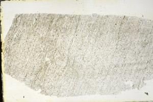 Plane Polarized, S90278