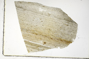 Plane Polarized, S90283