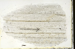 Plane Polarized, S90284