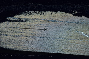 Cross Polarized, S90285