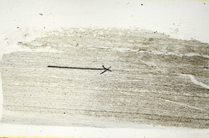 Plane Polarized, S90285