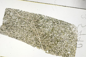 Plane Polarized, S90290