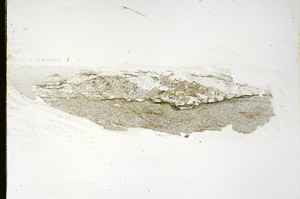Plane Polarized, S90294