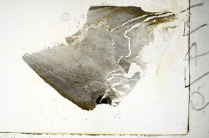 Plane Polarized, S90309