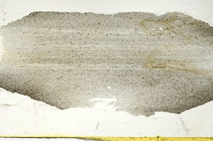 Plane Polarized, S90314