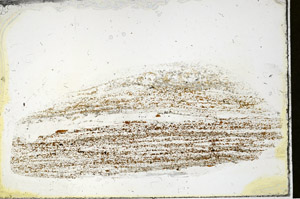 Plane Polarized, S90328