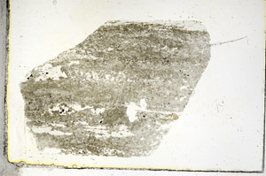 Plane Polarized, S90329