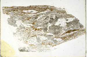 Plane Polarized, S90333