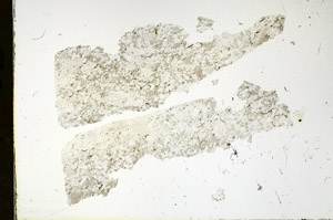 Plane Polarized, S90335
