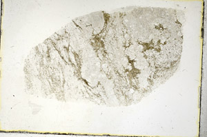 Plane Polarized, S90336