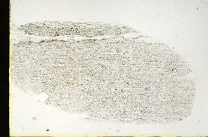 Plane Polarized, S90338