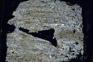 Cross Polarized, S90342