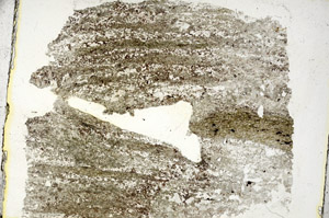 Plane Polarized, S90342