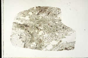Plane Polarized, S90349
