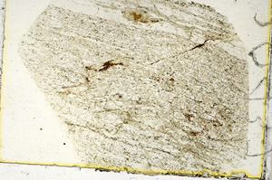 Plane Polarized, S90352