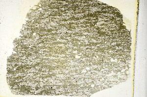 Plane Polarized, S90355