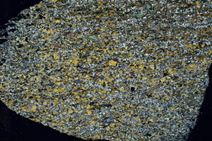 Cross Polarized, S90355/A