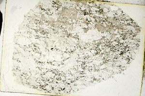 Plane Polarized, S90367