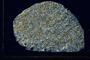 Cross Polarized, S90373